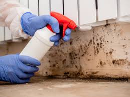 Best Industrial Mold Remediation  in Pasco, WA